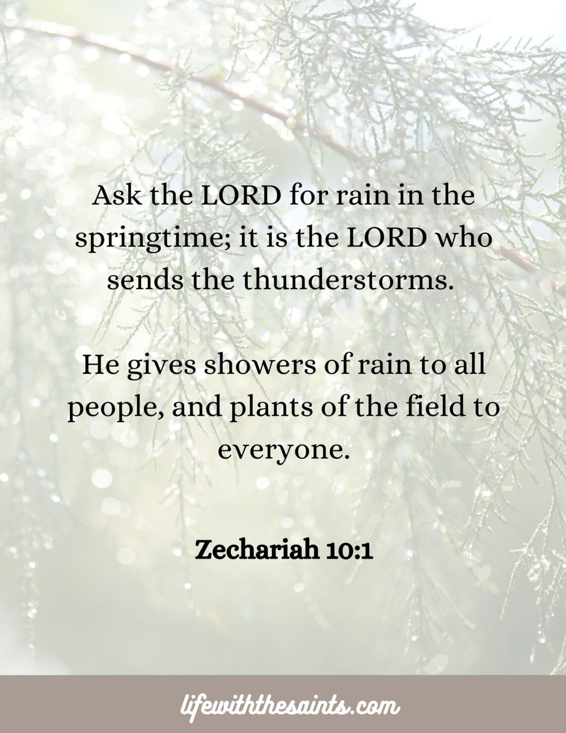 Prayer for Rain: A Prayer for Gardeners, Farmers, and Homebodies - Life ...